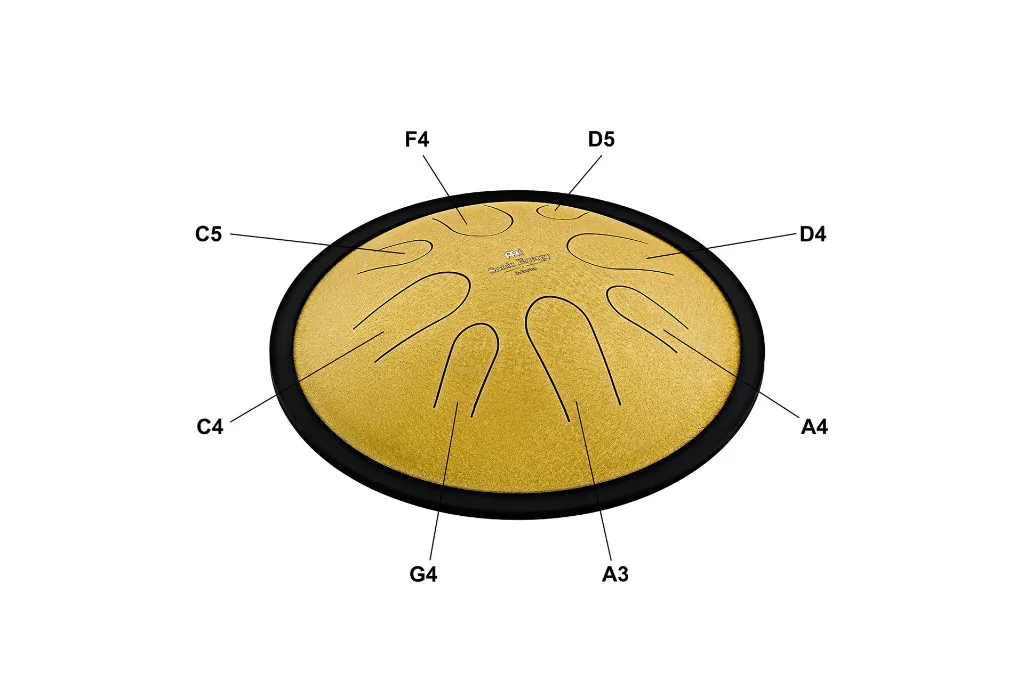 CSTD3G_Shop_Detail_View_1.webp